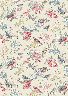 Cath Kidston